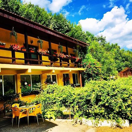 レシツァ House In The Woods Bed & Breakfast エクステリア 写真