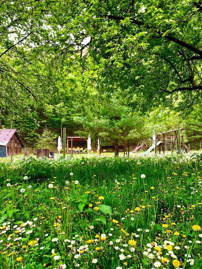 レシツァ House In The Woods Bed & Breakfast エクステリア 写真