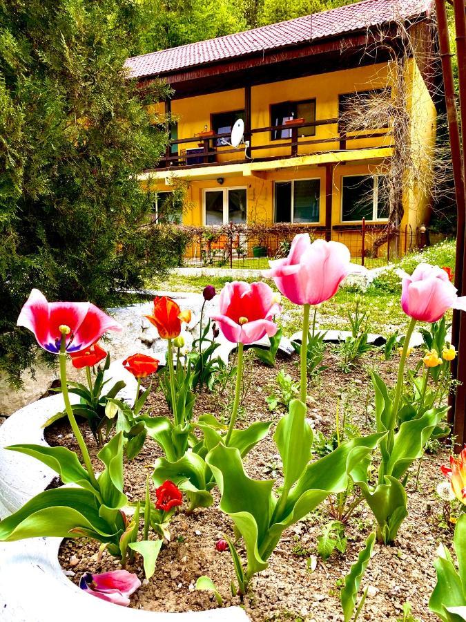 レシツァ House In The Woods Bed & Breakfast エクステリア 写真