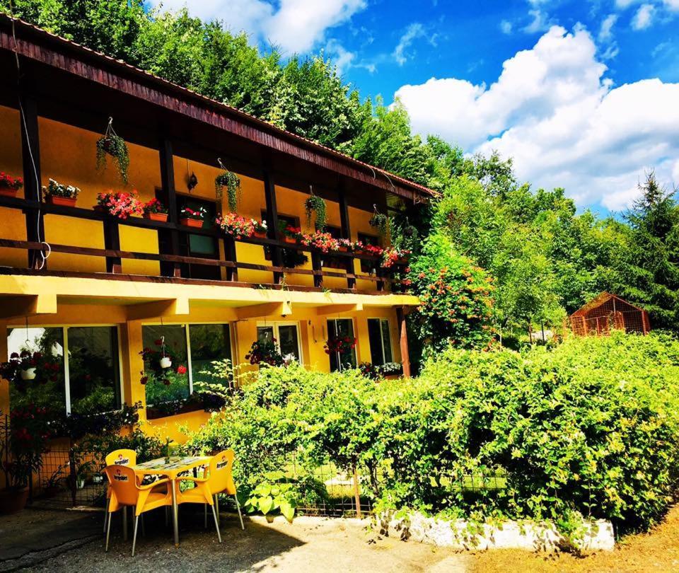 レシツァ House In The Woods Bed & Breakfast エクステリア 写真
