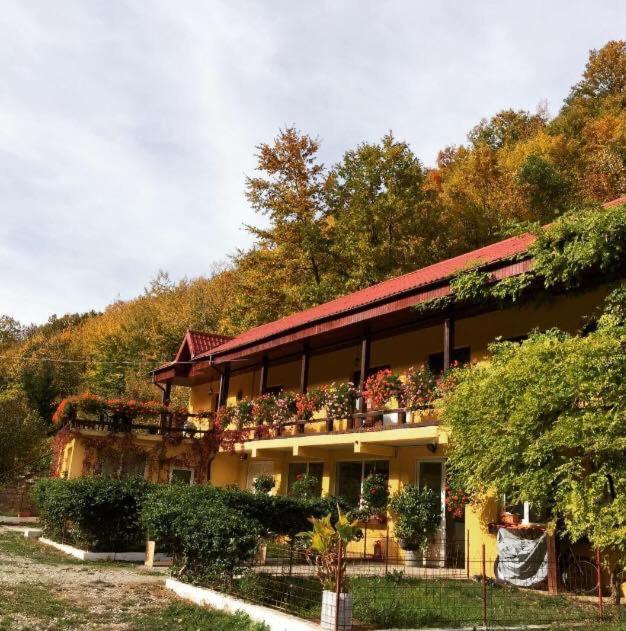 レシツァ House In The Woods Bed & Breakfast エクステリア 写真