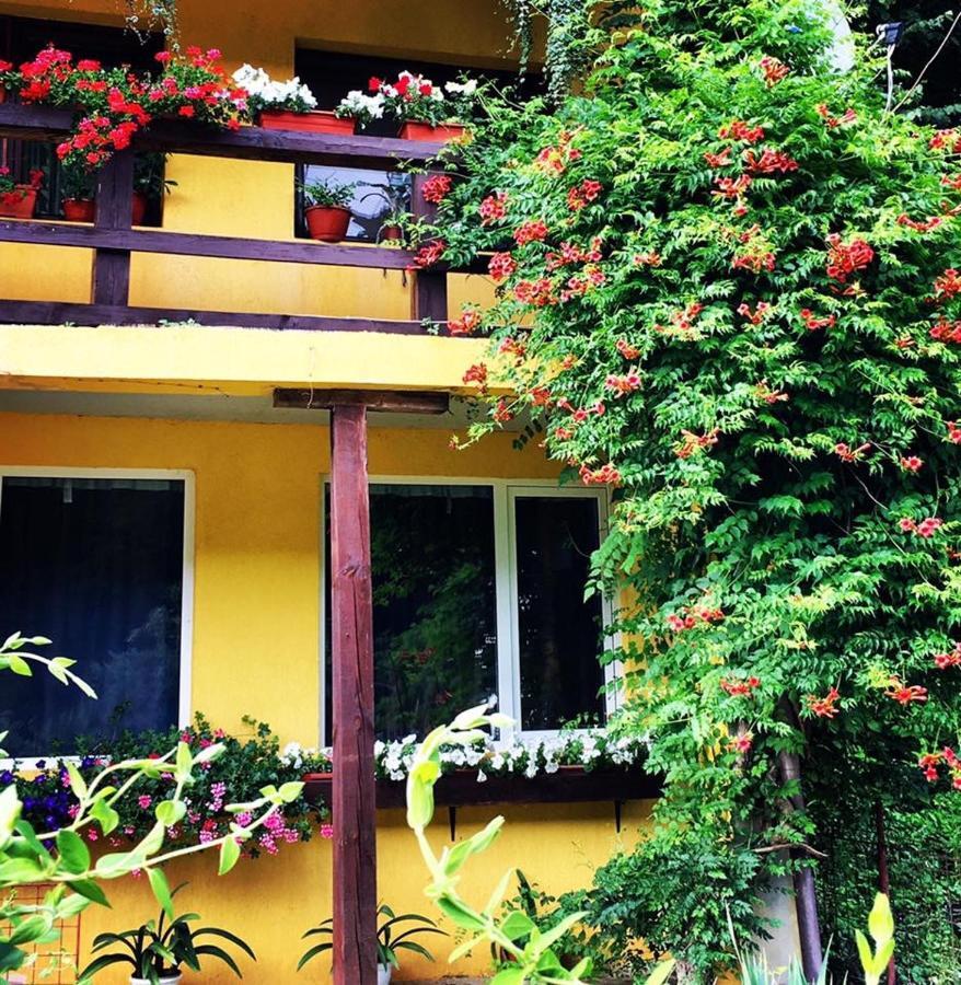 レシツァ House In The Woods Bed & Breakfast エクステリア 写真