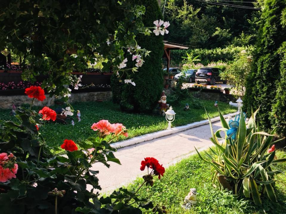 レシツァ House In The Woods Bed & Breakfast エクステリア 写真