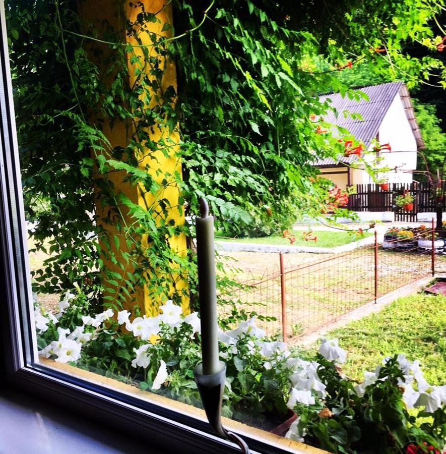 レシツァ House In The Woods Bed & Breakfast エクステリア 写真
