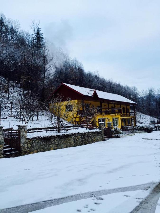 レシツァ House In The Woods Bed & Breakfast エクステリア 写真