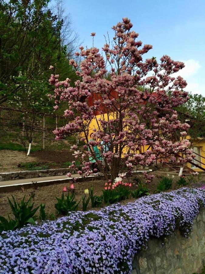 レシツァ House In The Woods Bed & Breakfast エクステリア 写真