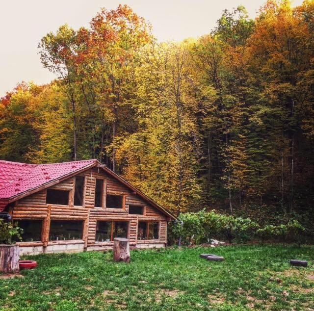 レシツァ House In The Woods Bed & Breakfast エクステリア 写真