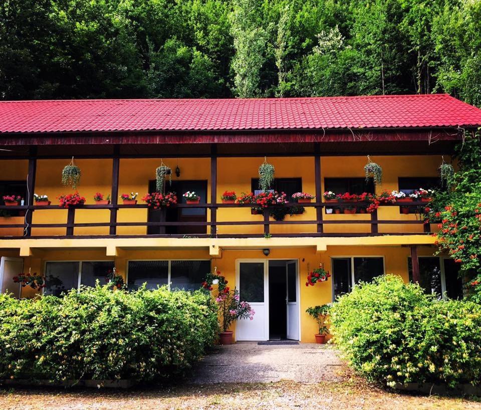 レシツァ House In The Woods Bed & Breakfast エクステリア 写真